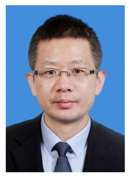 胡 杰李晓英郑建彪丁 霞汪 宁杨剑涛●副会长李玉国●会长